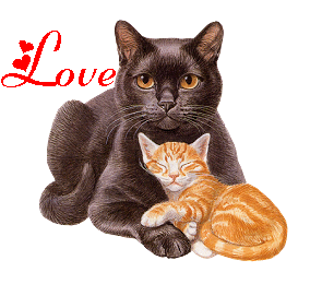 Les chats