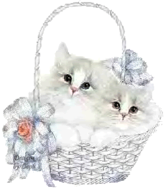 Chats