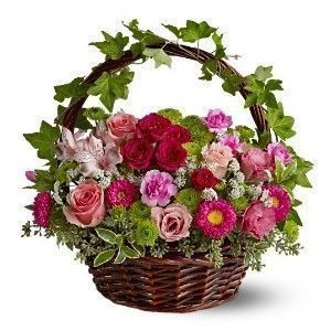 Tubes fleurs et plantes